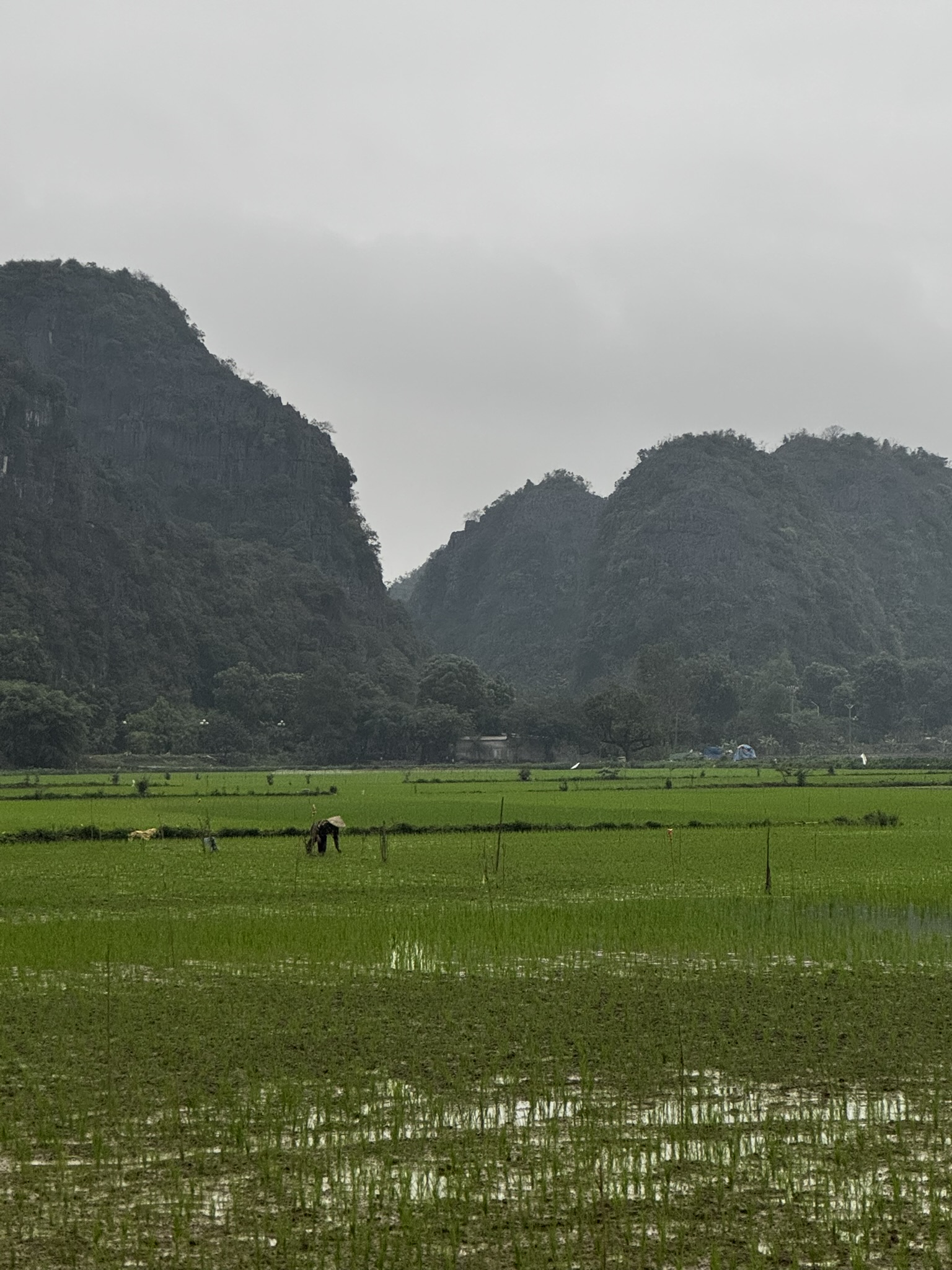 WilkTravels_home_vietnam