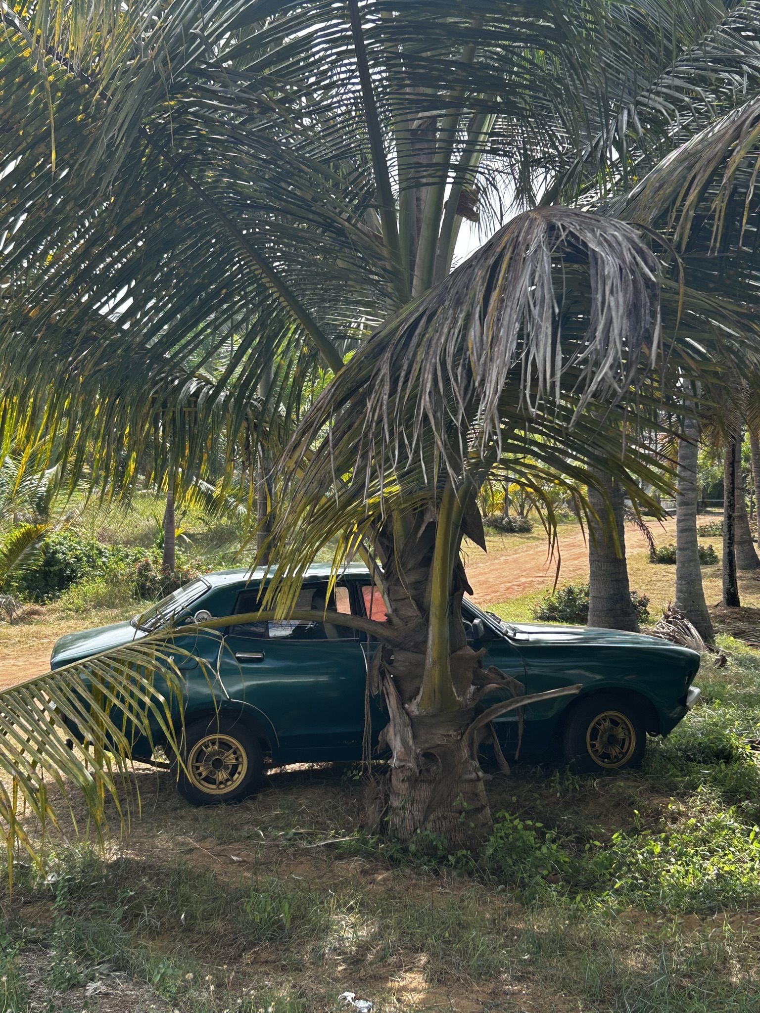 WilkTravels_home_sri_lanka_car