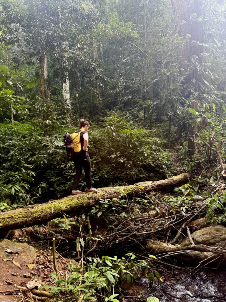 WilkTravels - Jungle trek in Laos