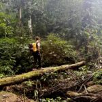 WilkTravels - Trekking w dżungli Laosu